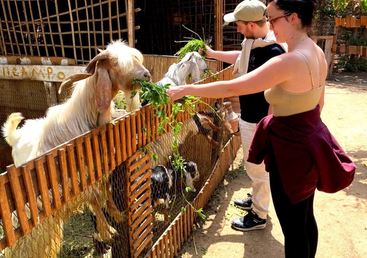 Il Campo Boutique Ecolodge El Hawamdeya Luaran gambar